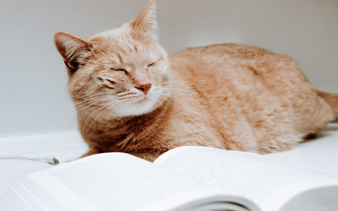 The Must-Read for Your (and Your Vet’s) Fall Reading List
