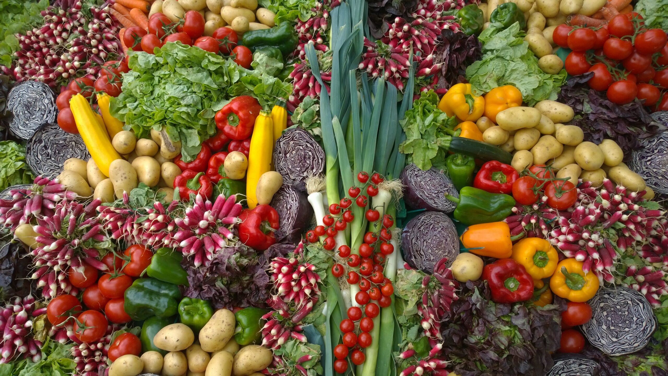 an array of vegetables